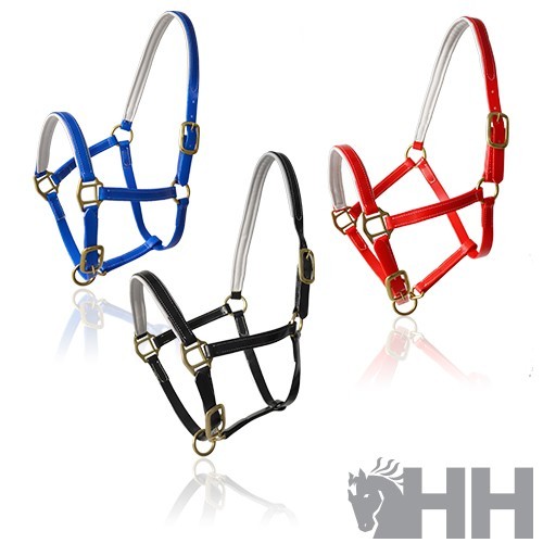 Cabezada cuadra lexhis biothane 2