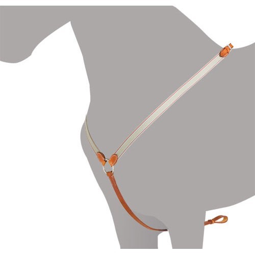 Pechopetral ingles ludomar cruzado con elastico cuero