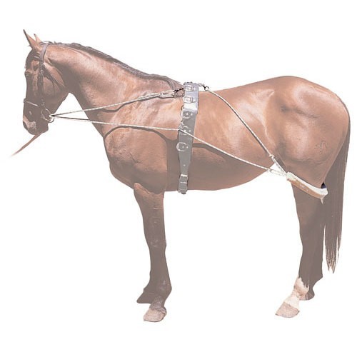 Sistema entrenamiento pessoa 2