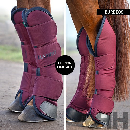 Protector rambo transporte (juego 4) 2