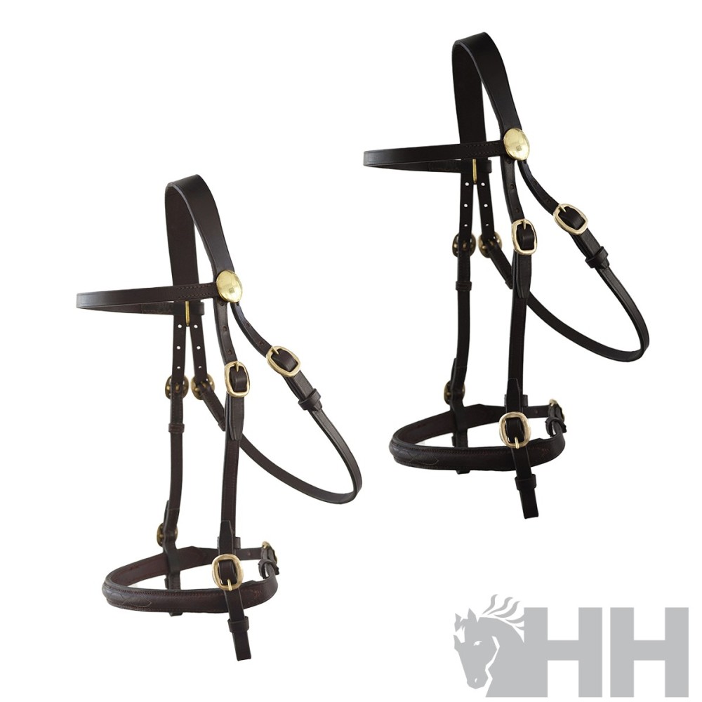 Cabezada inglesa hh tessa alomada hebillas doradas sin cierrabocas riendas lisas