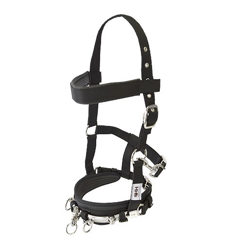 Cabezada serreta inglesa hh nylon 2