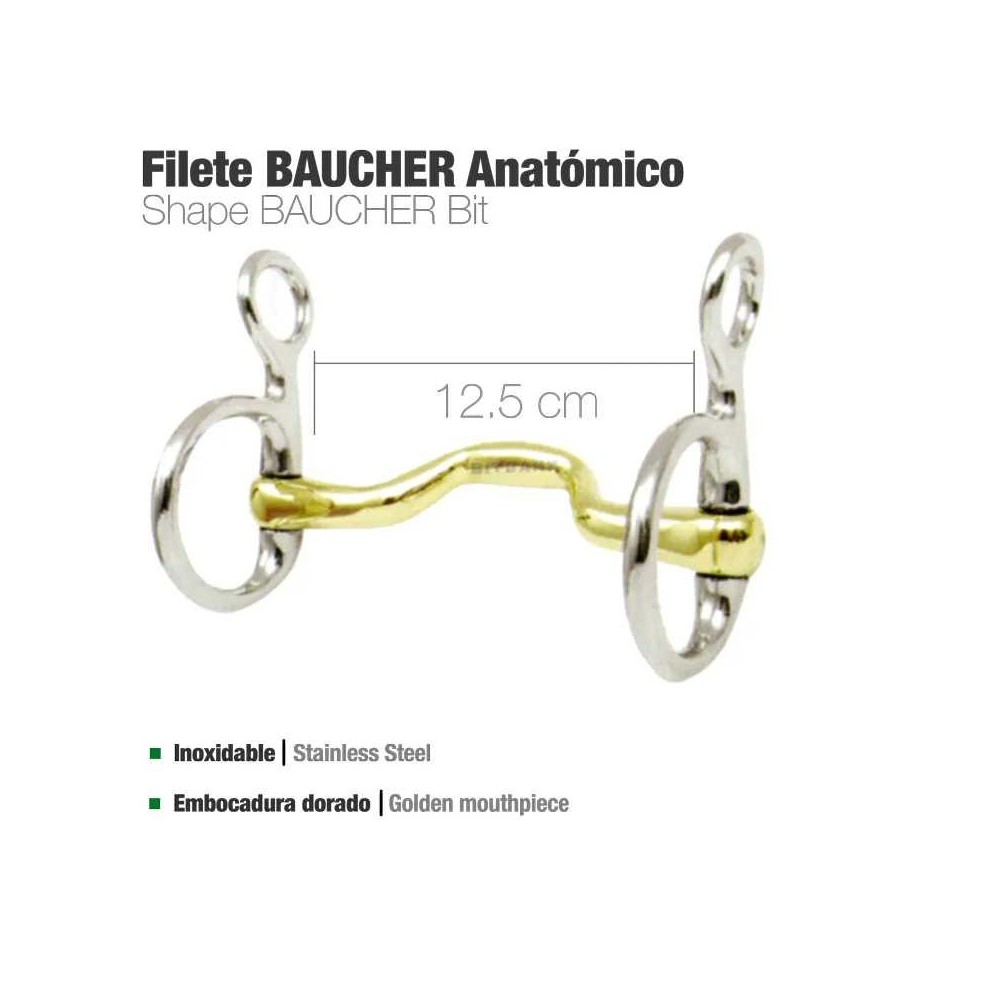 Filete baucher anatómico bbi inox