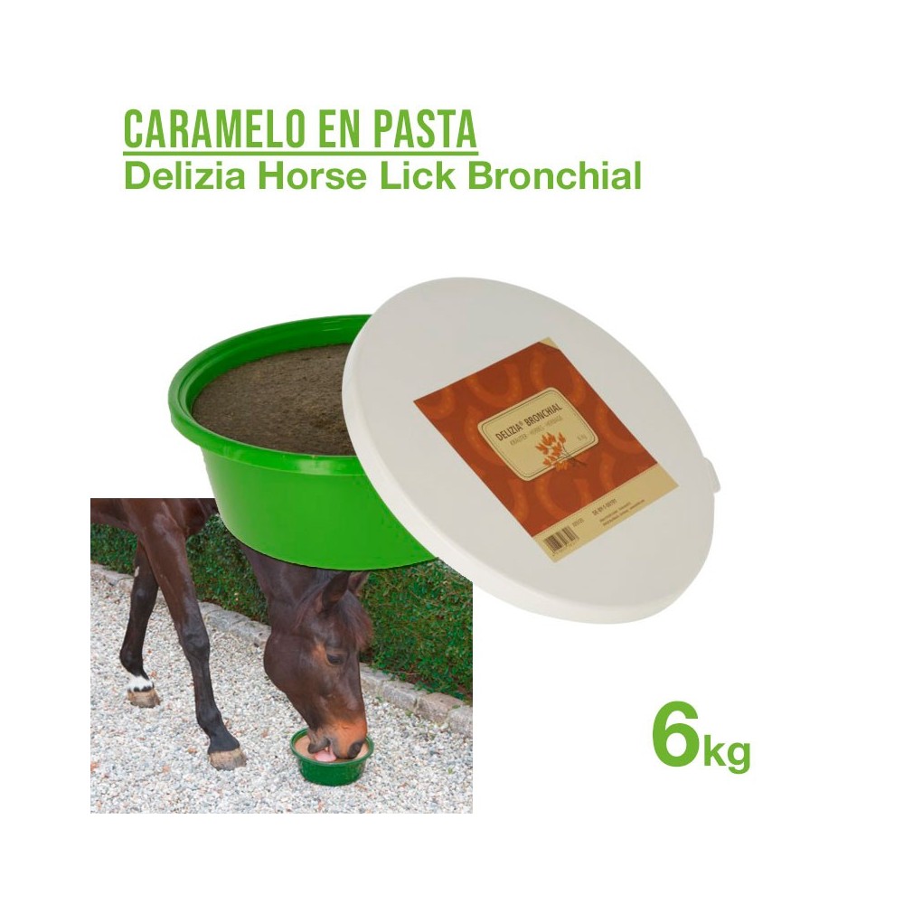 Caramelo en pasta horse lick bronchial 6 kg