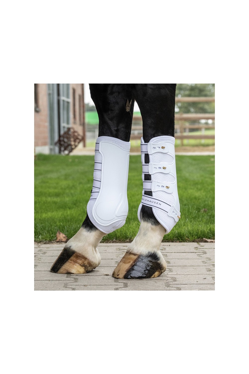 PROTECTORES DELANTEROS Y TRASEROS BREATH WALDHAUSEN