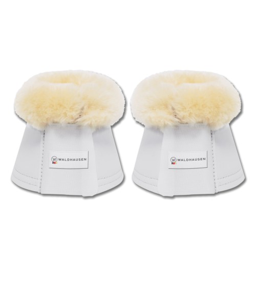 CAMPANAS CON BORREGO WALDHAUSEN 2