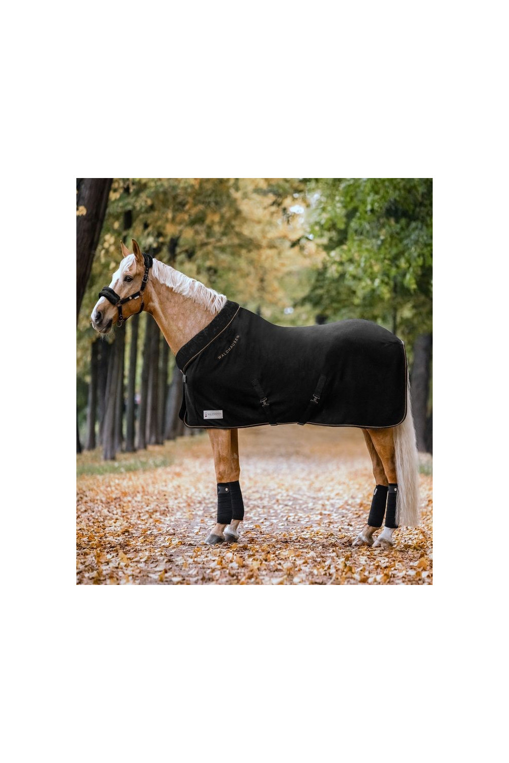 MANTA POLAR MODERN ROSÉ WALDHAUSEN