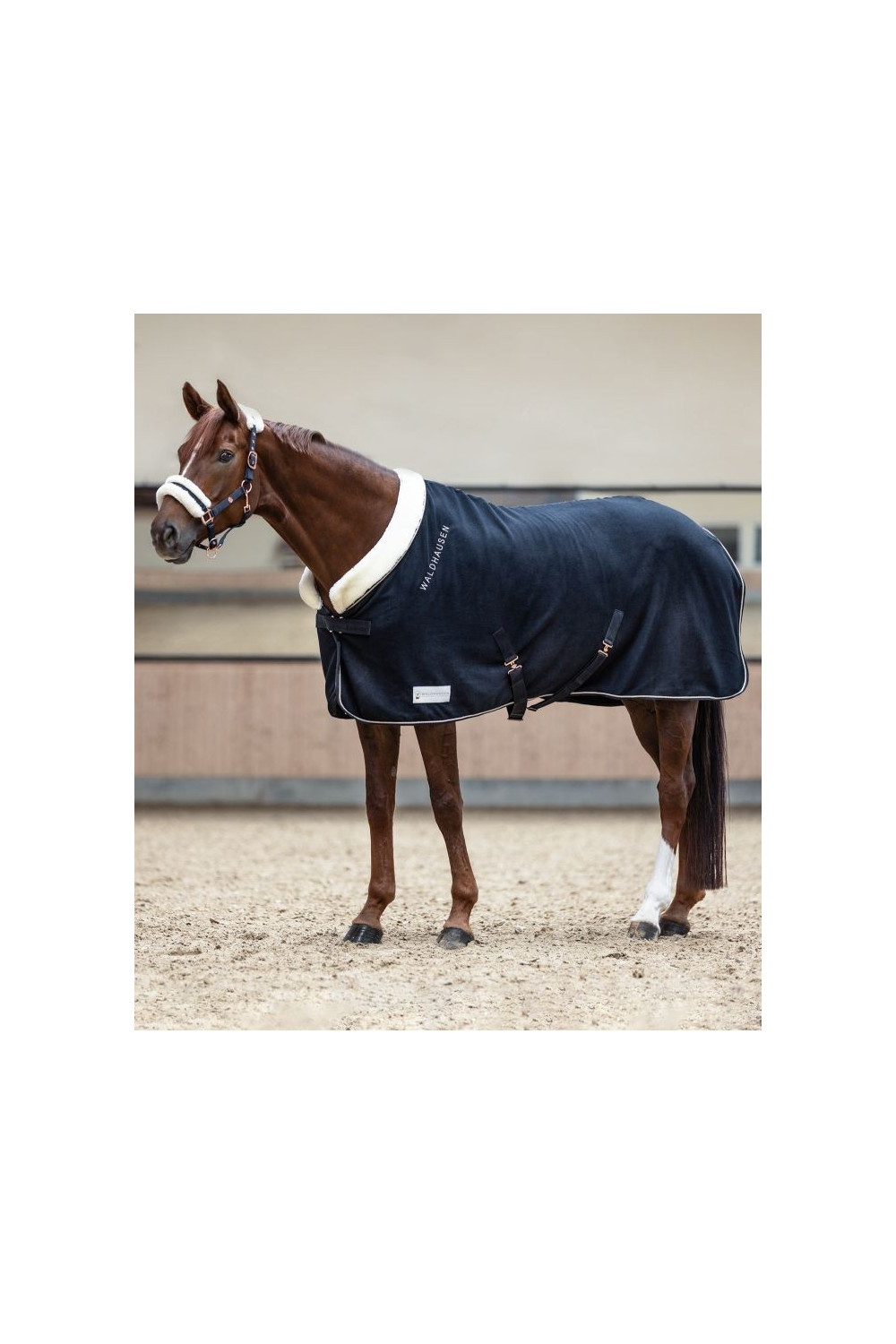 MANTA POLAR MODERN ROSÉ WALDHAUSEN