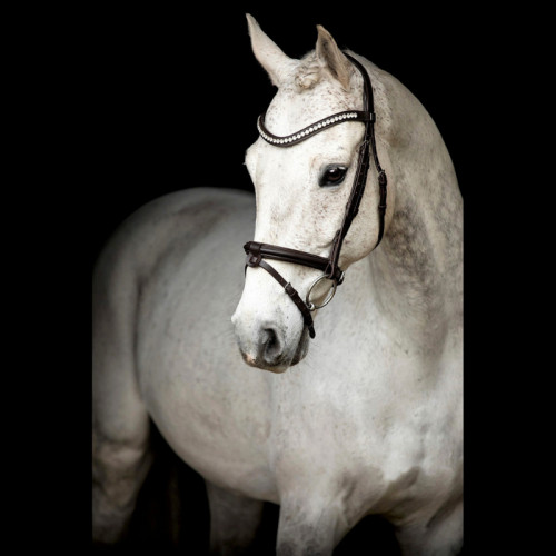 BRIDA LEEROX MARRÓN SD DESIGN 2