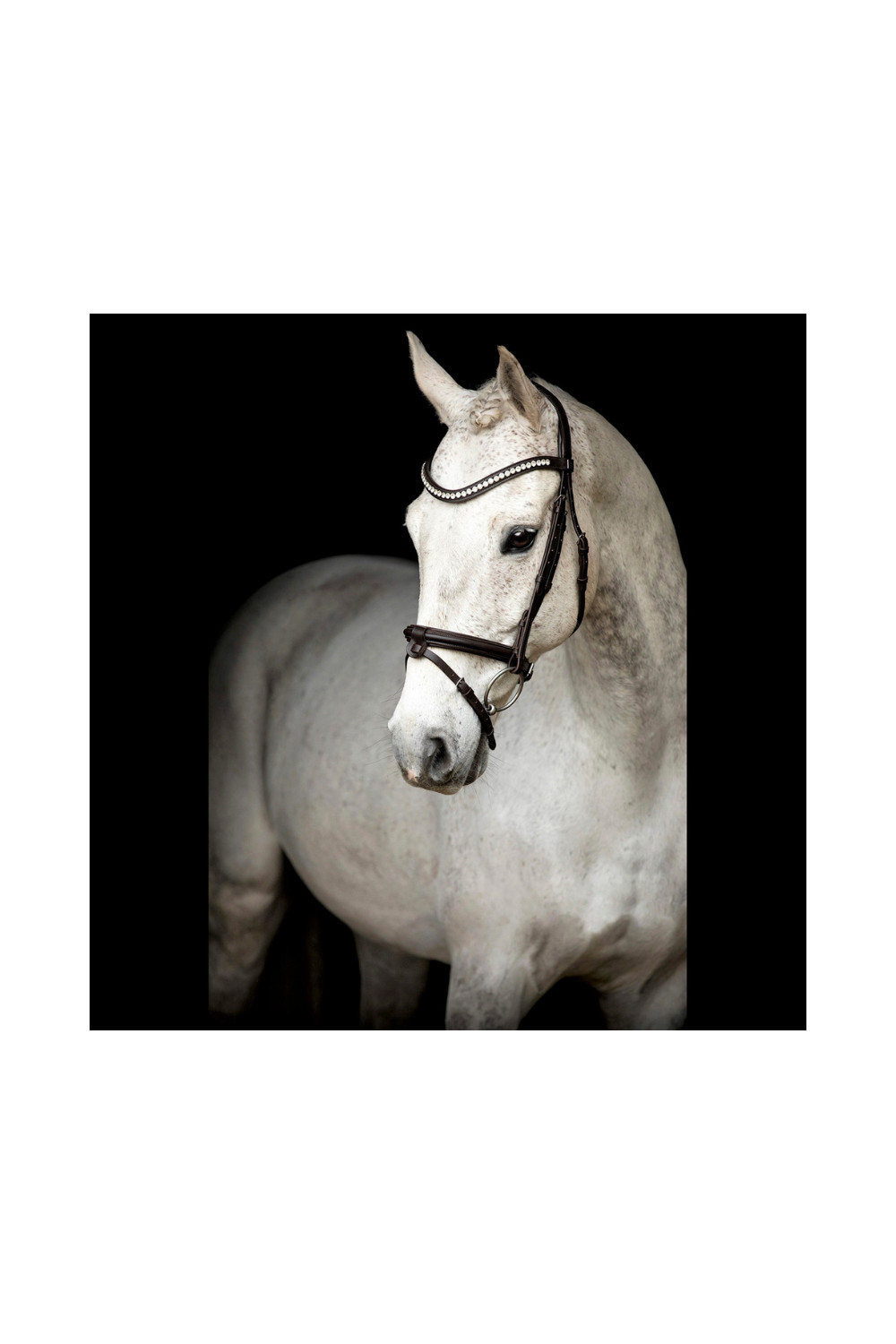 BRIDA LEEROX MARRÓN SD DESIGN