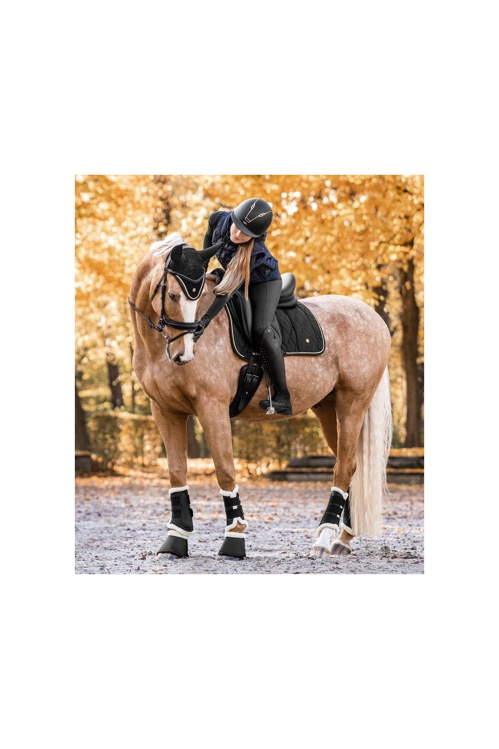 PROTECTORES COMFORT DOMA WALDHAUSEN