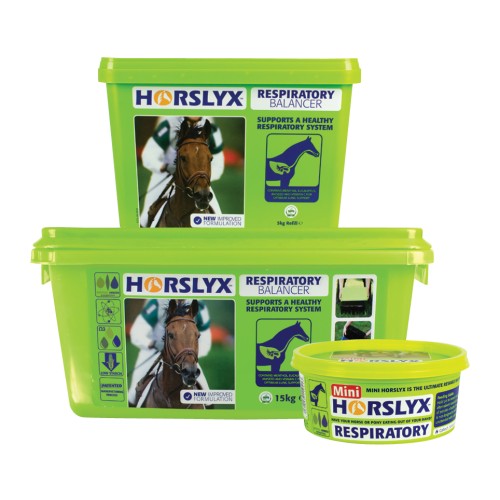 HORSLYX RESPIRATORY 2