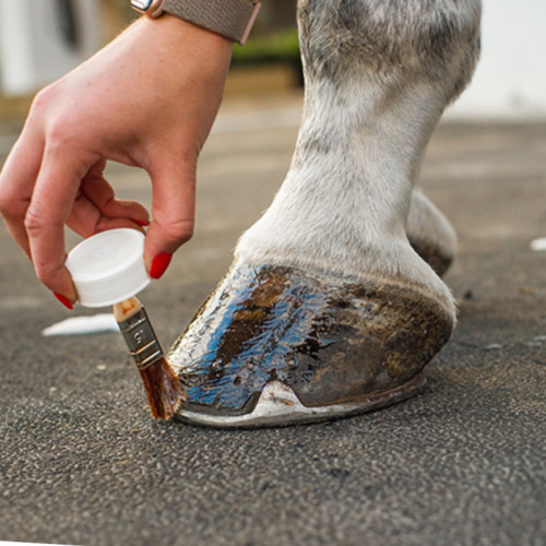 ACEITE PARA CASCOS PODOGUARD CAVALOR 2