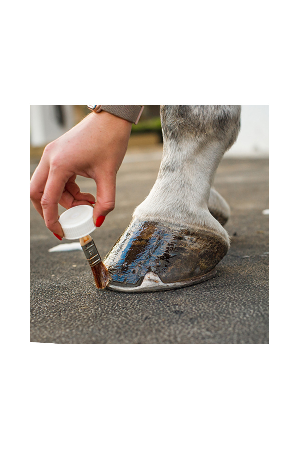 ACEITE PARA CASCOS PODOGUARD CAVALOR