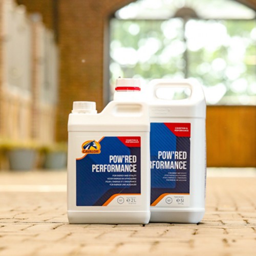 SUPLEMENTO POW'RED PERFORMANCE CAVALOR 2