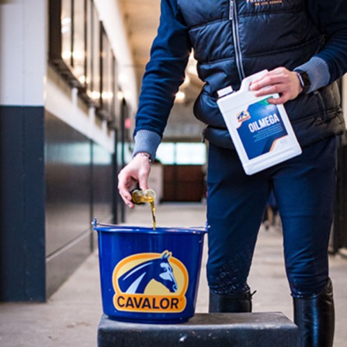 SUPLEMENTO OILMEGA CAVALOR 2