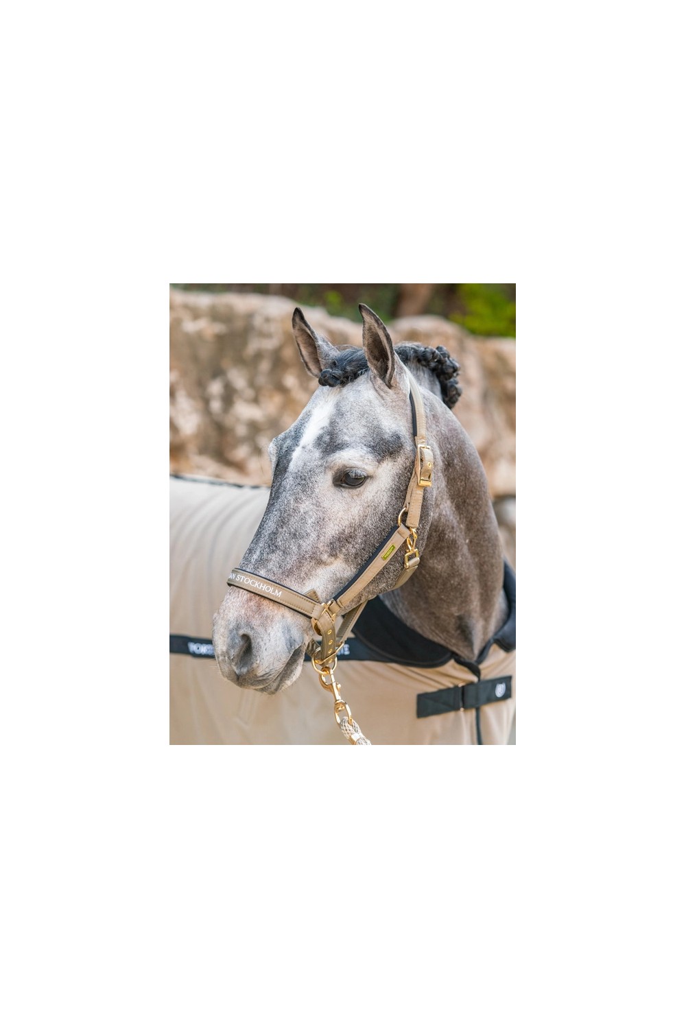 CABEZADA CHANTELLE EQUESTRIAN STOCKHOLM