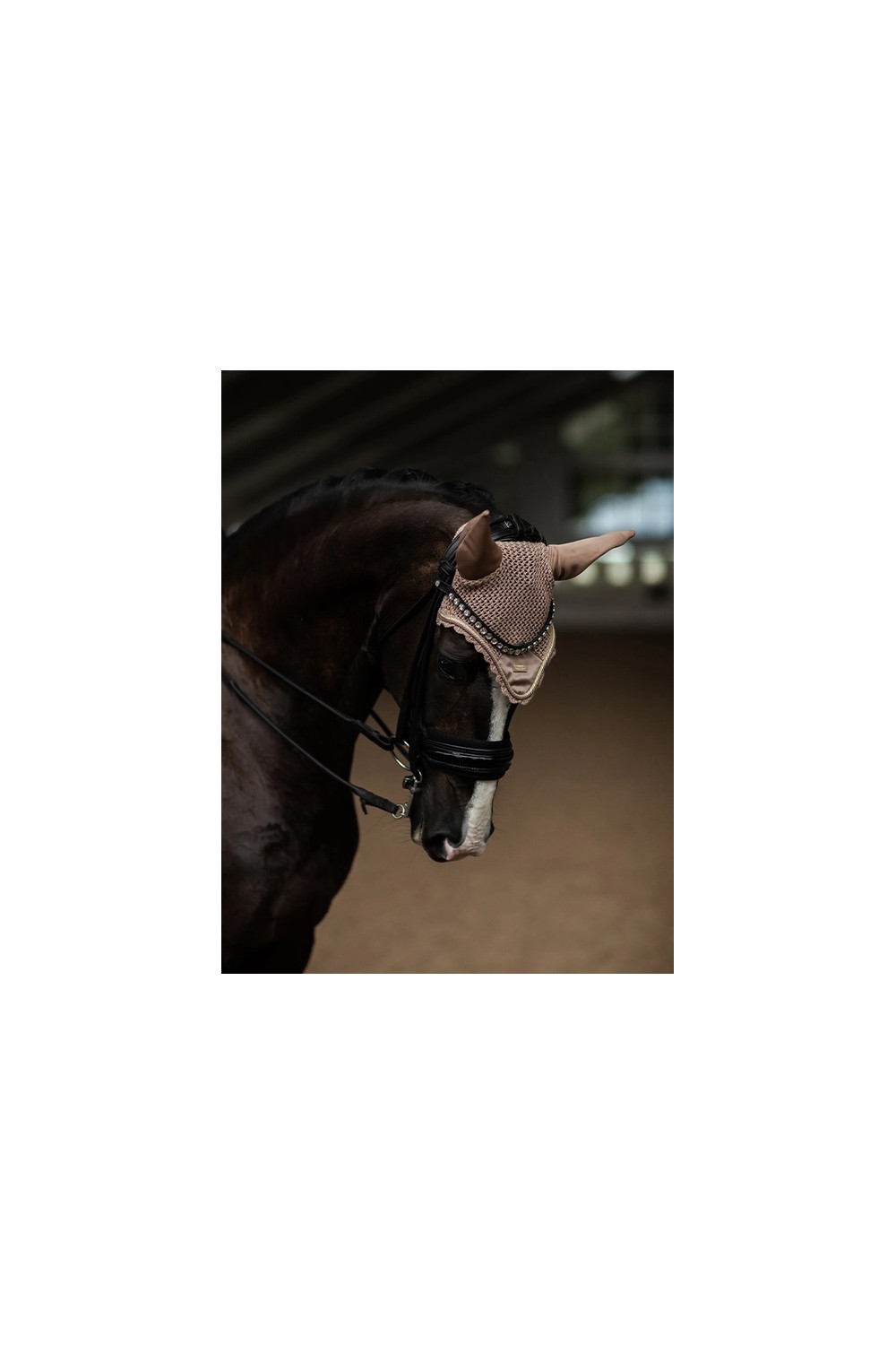 OREJERAS CHAMPAGNE EQUESTRIAN STOCKHOLM