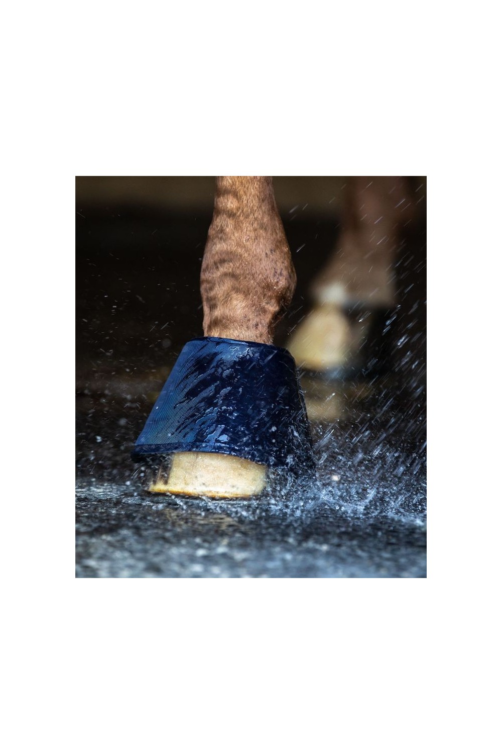 CAMPANAS WATER WALDHAUSEN