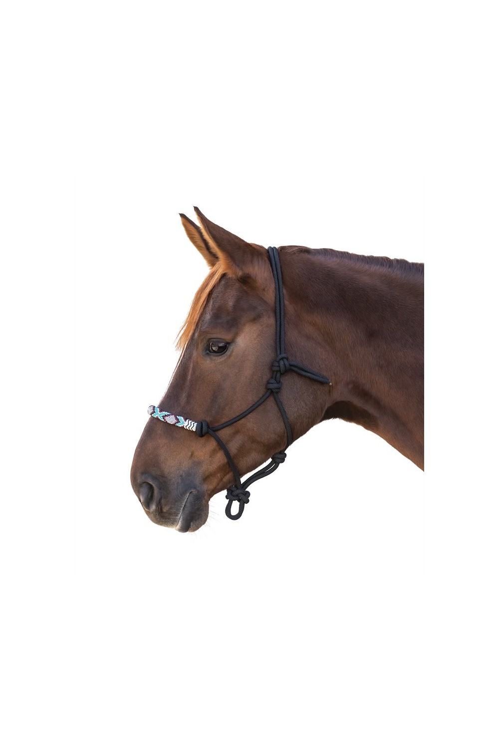 CABEZADA DE NUDOS PEARL WALDHAUSEN