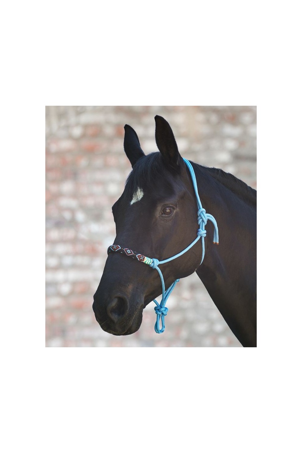 CABEZADA DE NUDOS PEARL WALDHAUSEN