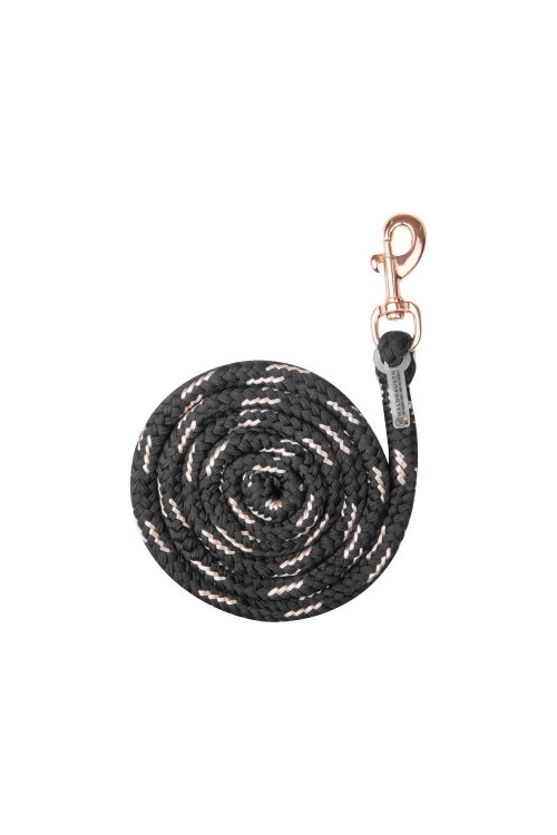 RAMAL ROSE GOLD SEGURIDAD WALDHAUSEN 2