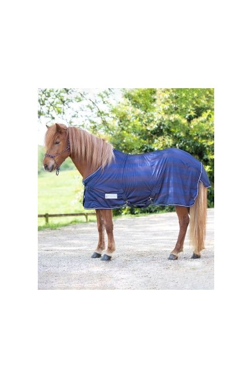 MANTA ANTIMOSCAS ECONOMIC WALDHAUSEN 2