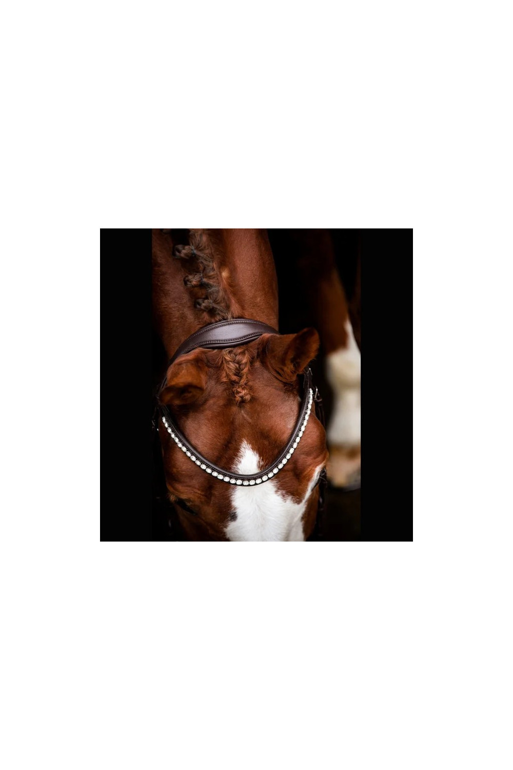 BRIDA LEEROX MARRÓN SD DESIGN