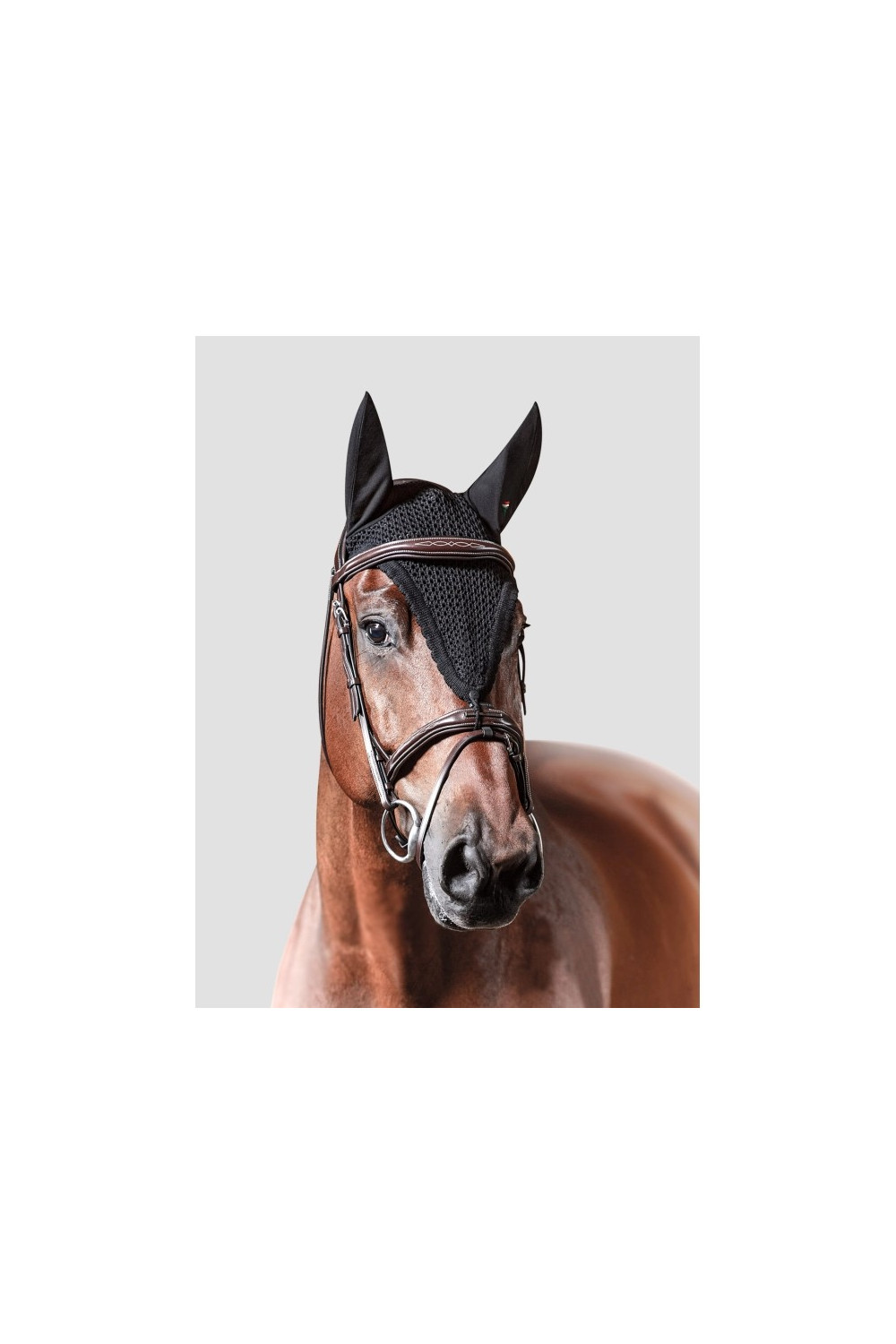 OREJERAS LOOP EQUILINE