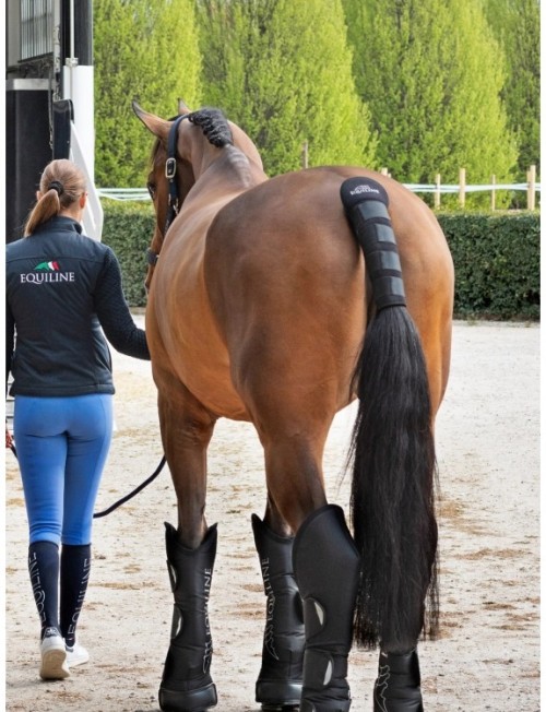 PROTECTOR DE COLA NOLL EQUILINE 2