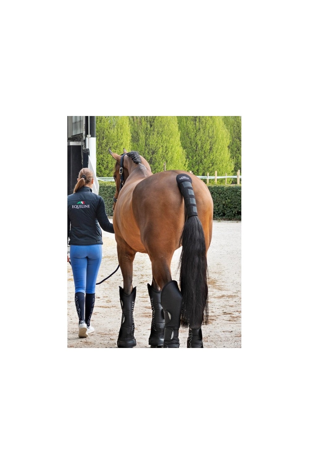 PROTECTOR DE COLA NOLL EQUILINE