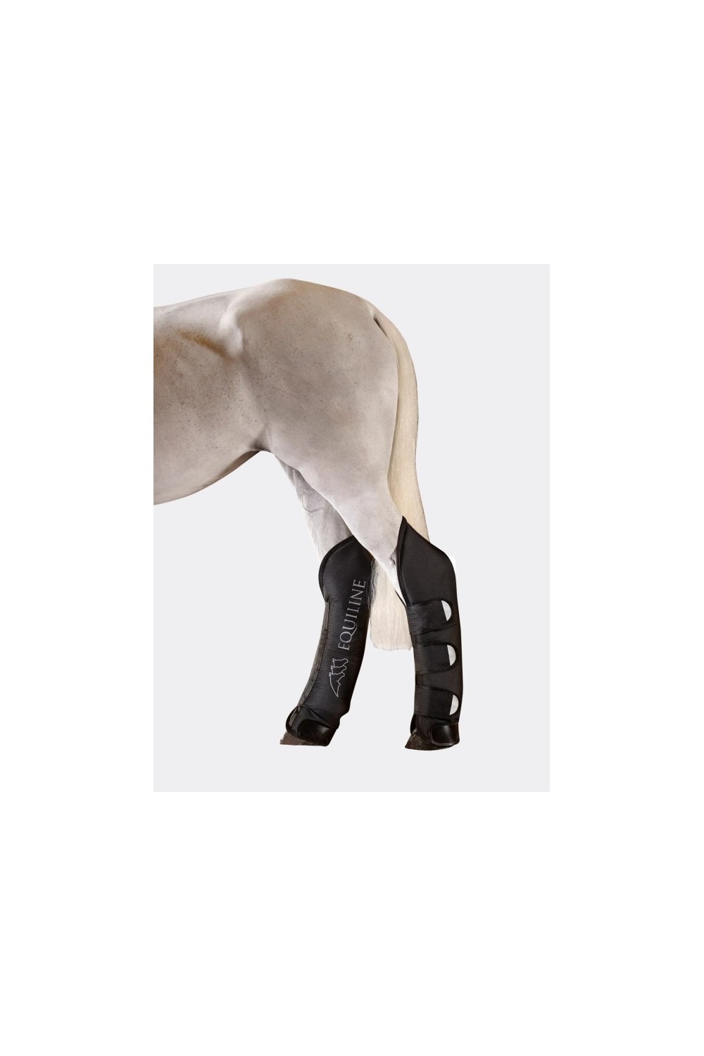 PROTECTORES TRANSPORTE EQUILINE