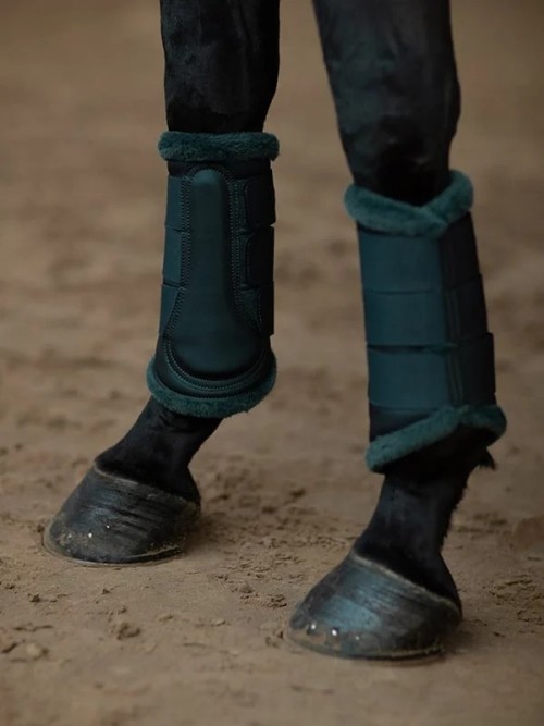 PROTECTORES DRAMATIC MONDAY EQUESTRIAN STOCKHOLM 2