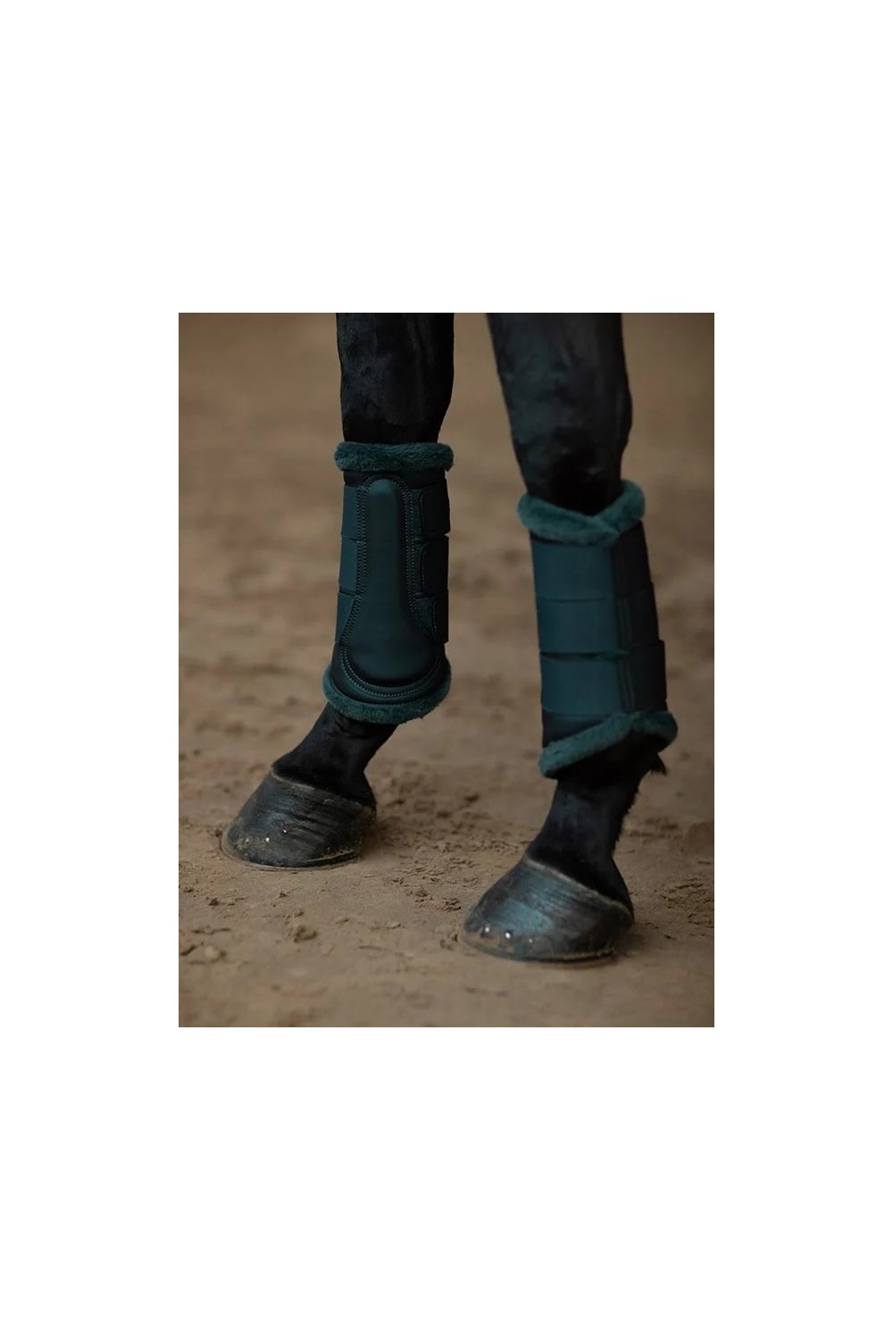 PROTECTORES DRAMATIC MONDAY EQUESTRIAN STOCKHOLM