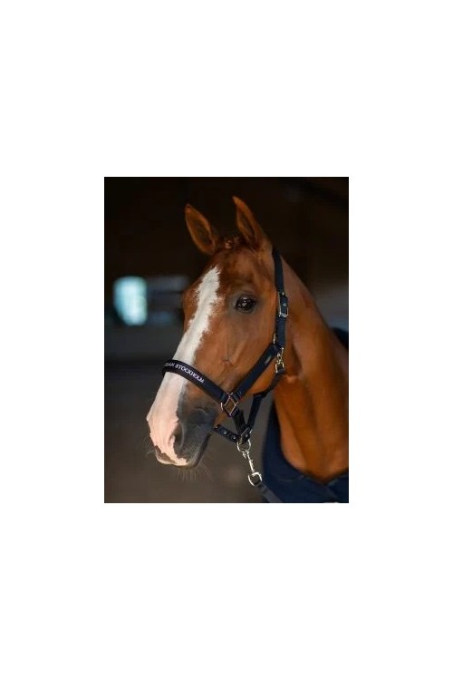 CABEZADA MODERN TECH NAVY EQUESTRIAN STOCKHOLM 2