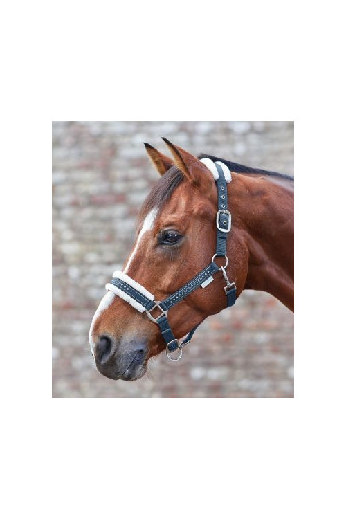 CABEZADA CUADRA ELEGANT WALDHAUSEN