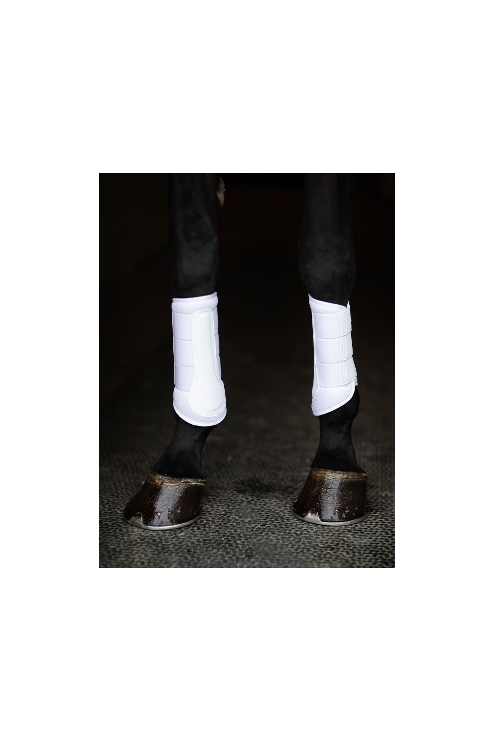 PROTECTORES CLASSIC WHITE GOLD EQUESTRIAN STOCKHOLM