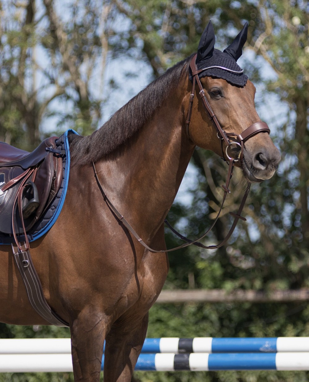 OREJERA FLORENCE QHP