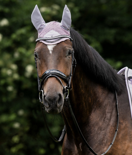 OREJERAS DENVER QHP 2