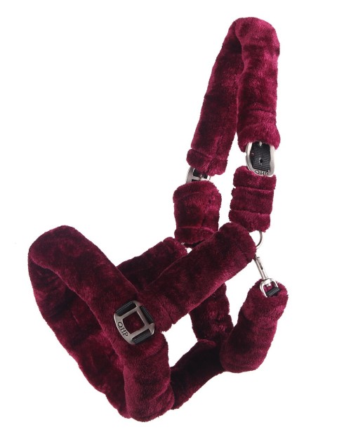 CABEZADA CUADRA ALASKA QHP