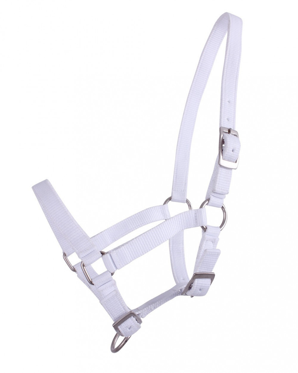 CABEZADA PARA POTRO QHP