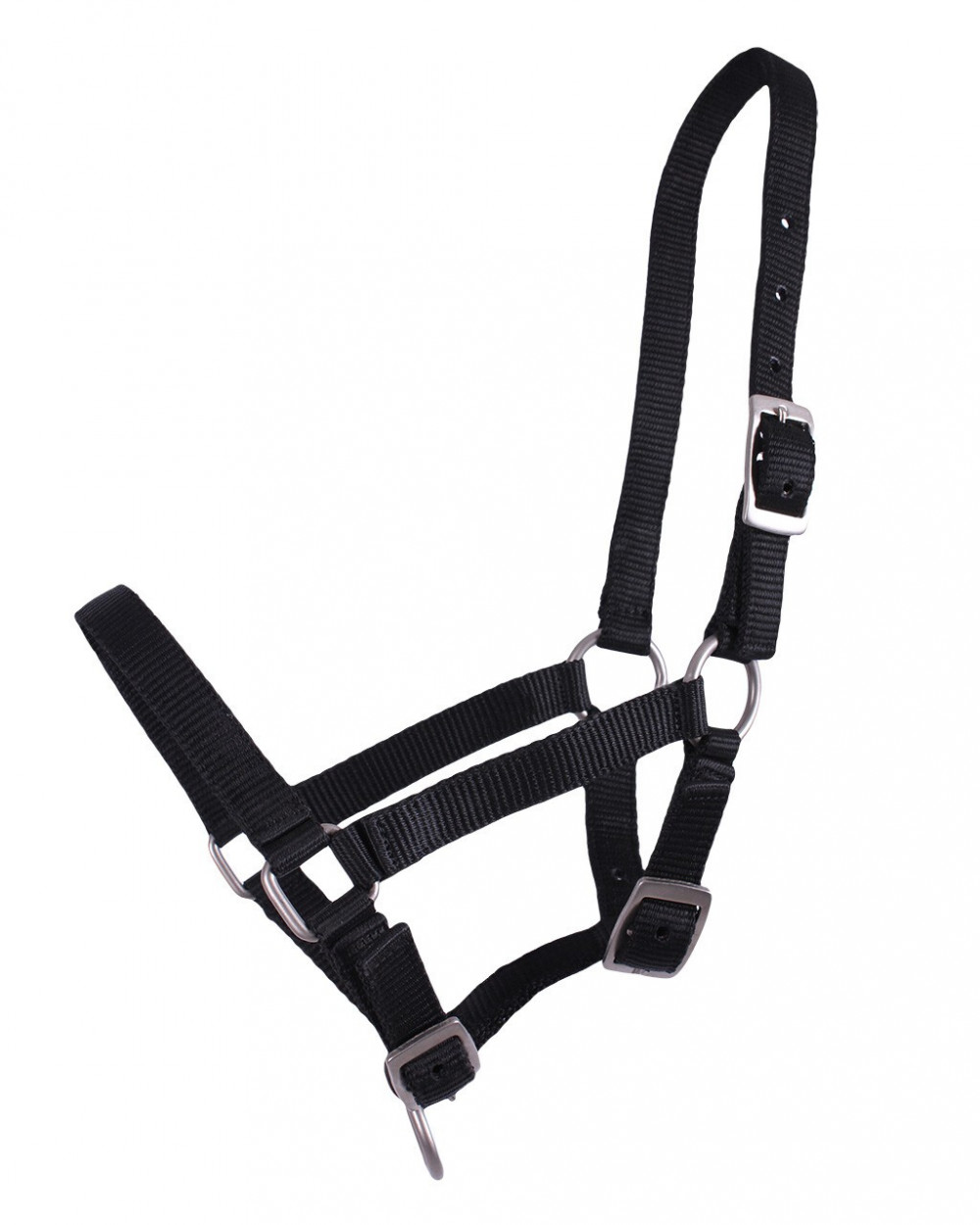 CABEZADA PARA POTRO QHP