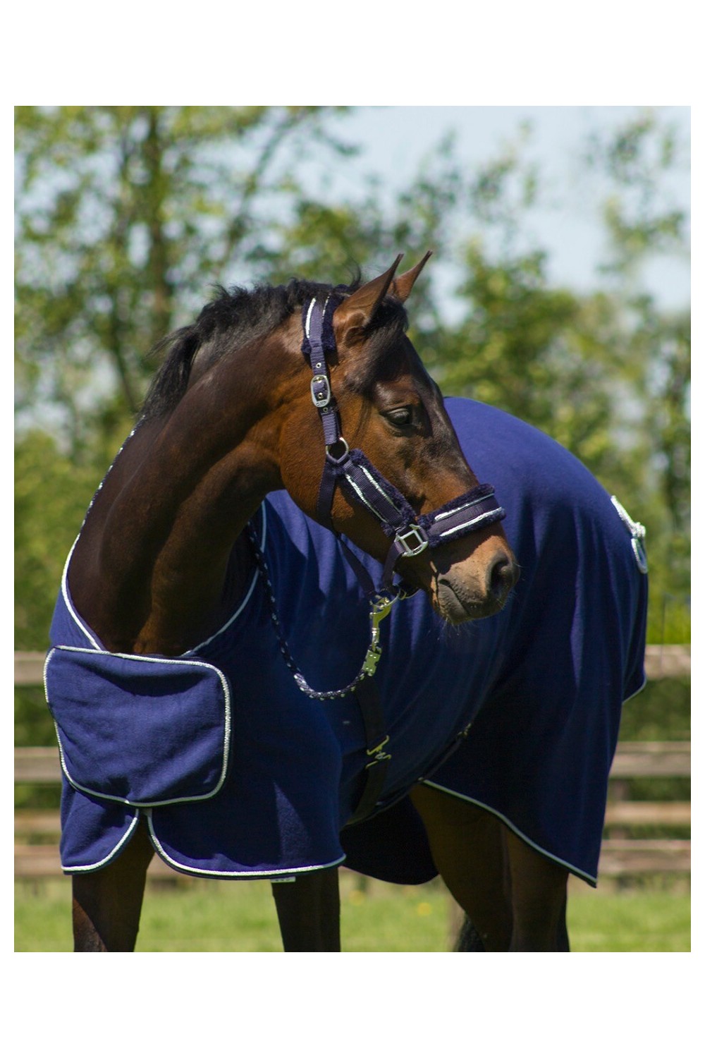 CABEZADA SET DOLCI QHP