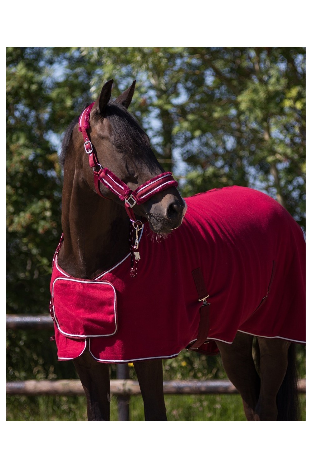 CABEZADA SET DOLCI QHP