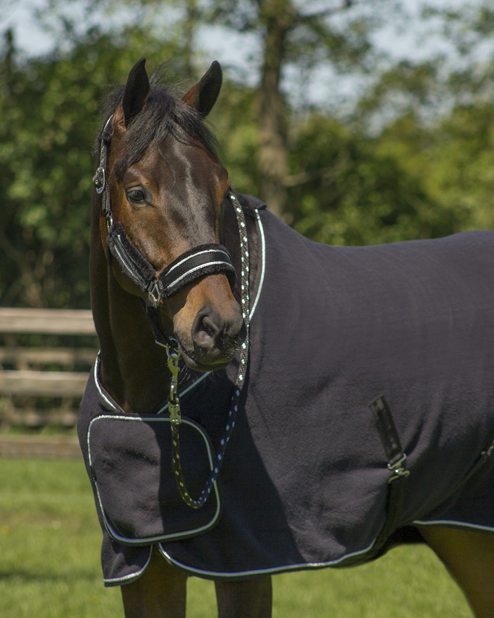 CABEZADA SET DOLCI QHP