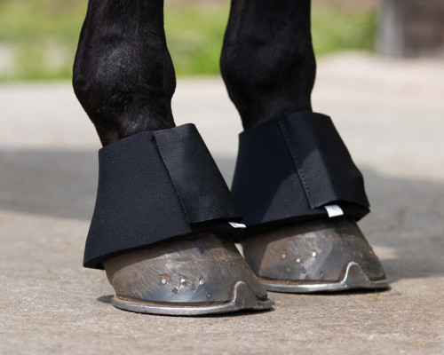 CAMPANAS NEOPRENO QHP 2