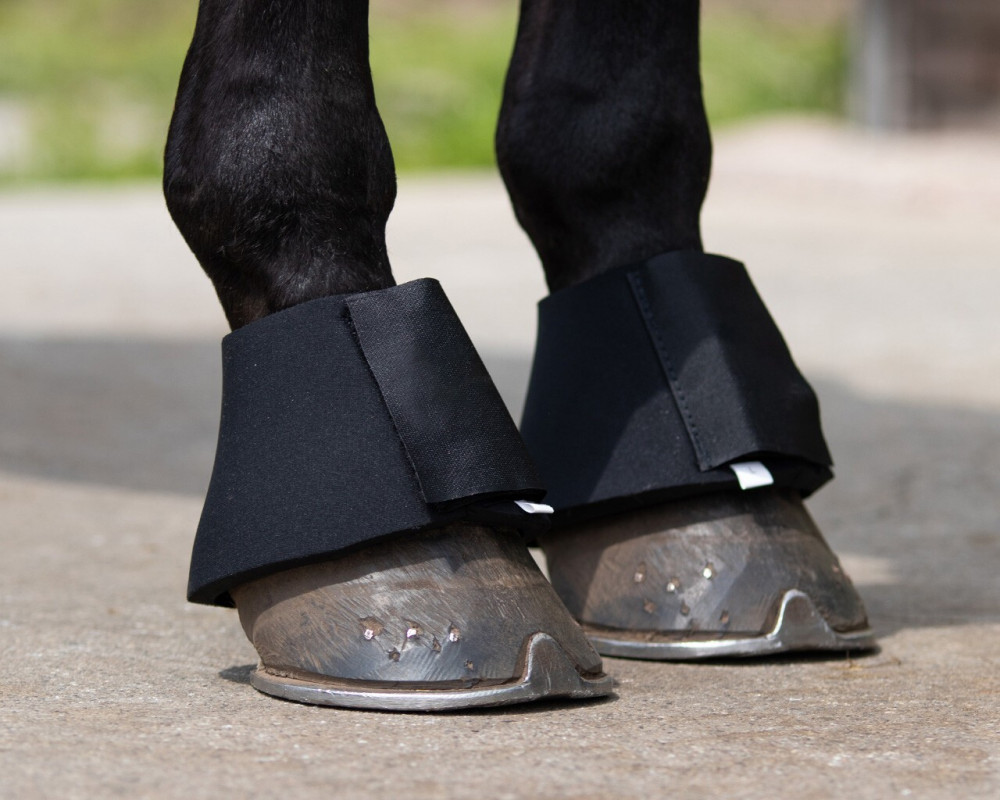 CAMPANAS NEOPRENO QHP