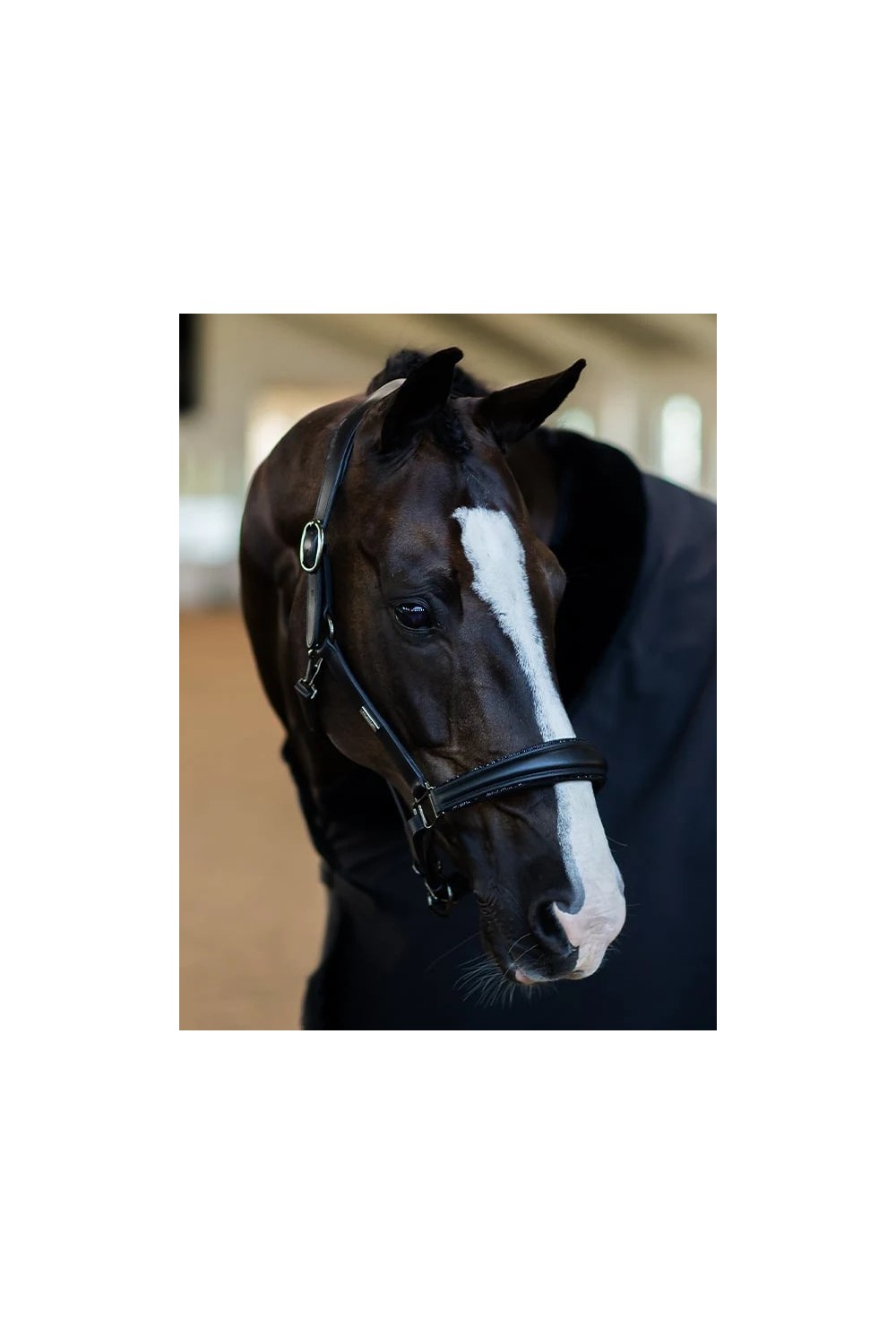 CABEZADA ANATÓMICA BLACK EDITION CUERO EQUESTRIAN STOCKHOLM