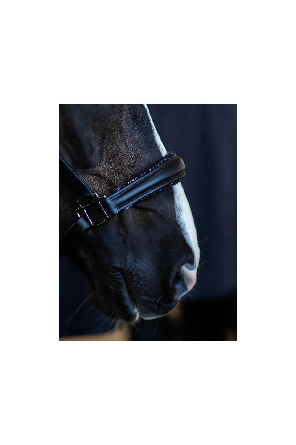 CABEZADA ANATÓMICA BLACK EDITION CUERO EQUESTRIAN STOCKHOLM