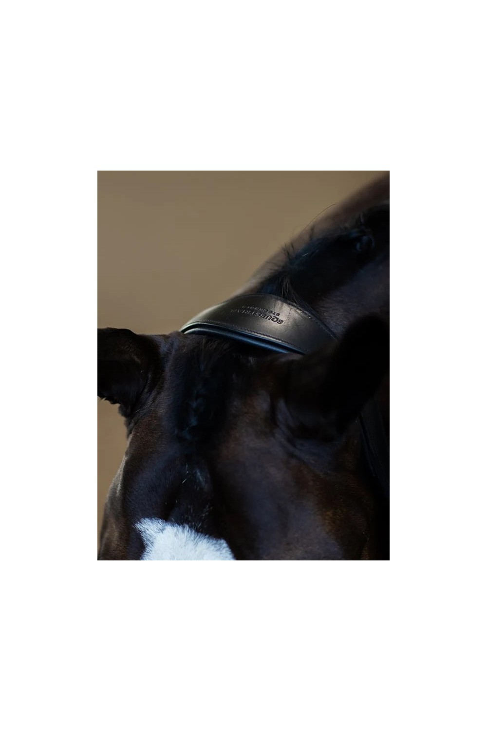 CABEZADA ANATÓMICA BLACK EDITION CUERO EQUESTRIAN STOCKHOLM